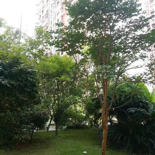 物业管理的内涵、边界与困局破解之道